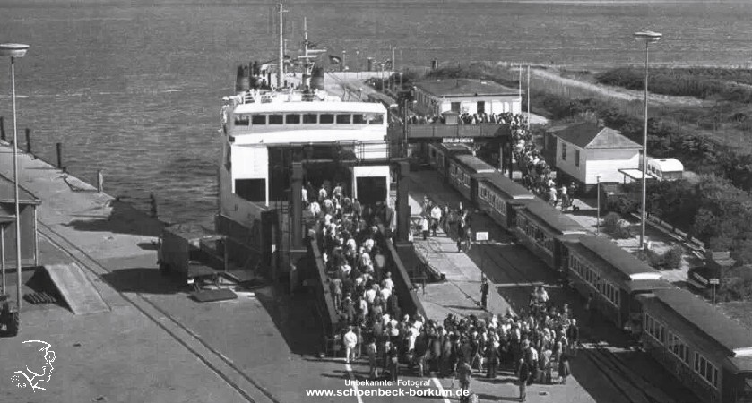 Nationalpark Niedersächsisches Wattenmeer Borkum