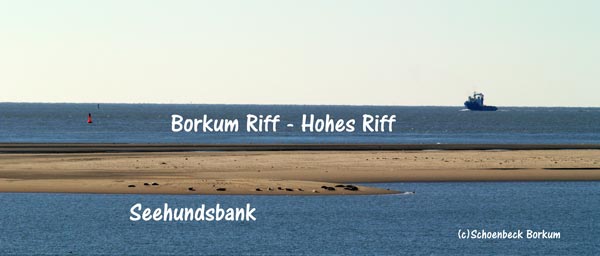 Borkum