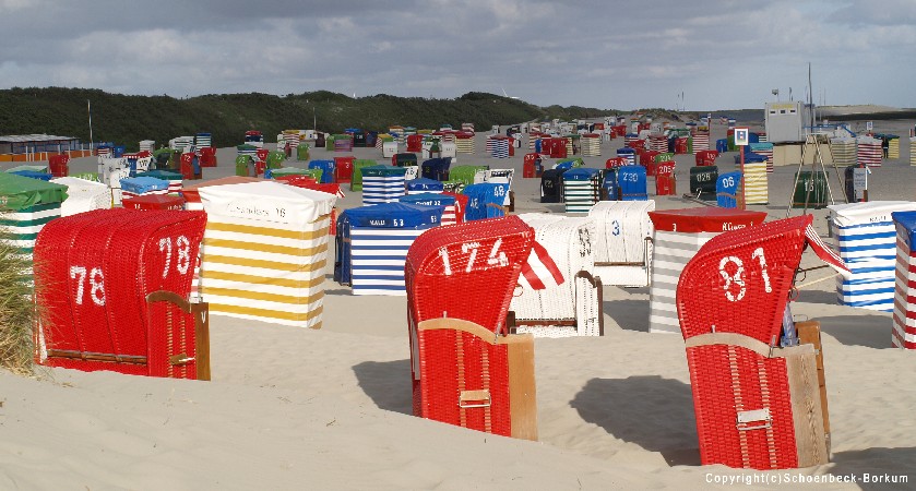 Allergiefreundliche Insel Borkum